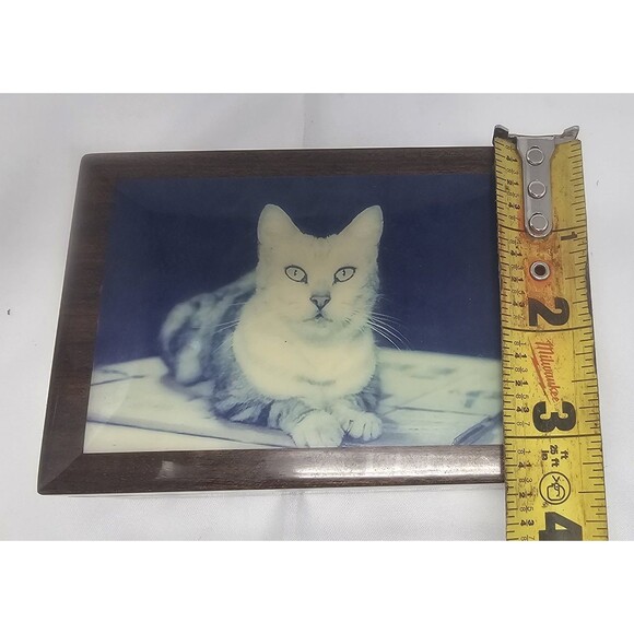 Still Life Tabby Cat Lacquerware Wooden Hinged Trinket Jewelry Box Lined Italy - Picture 11 of 15